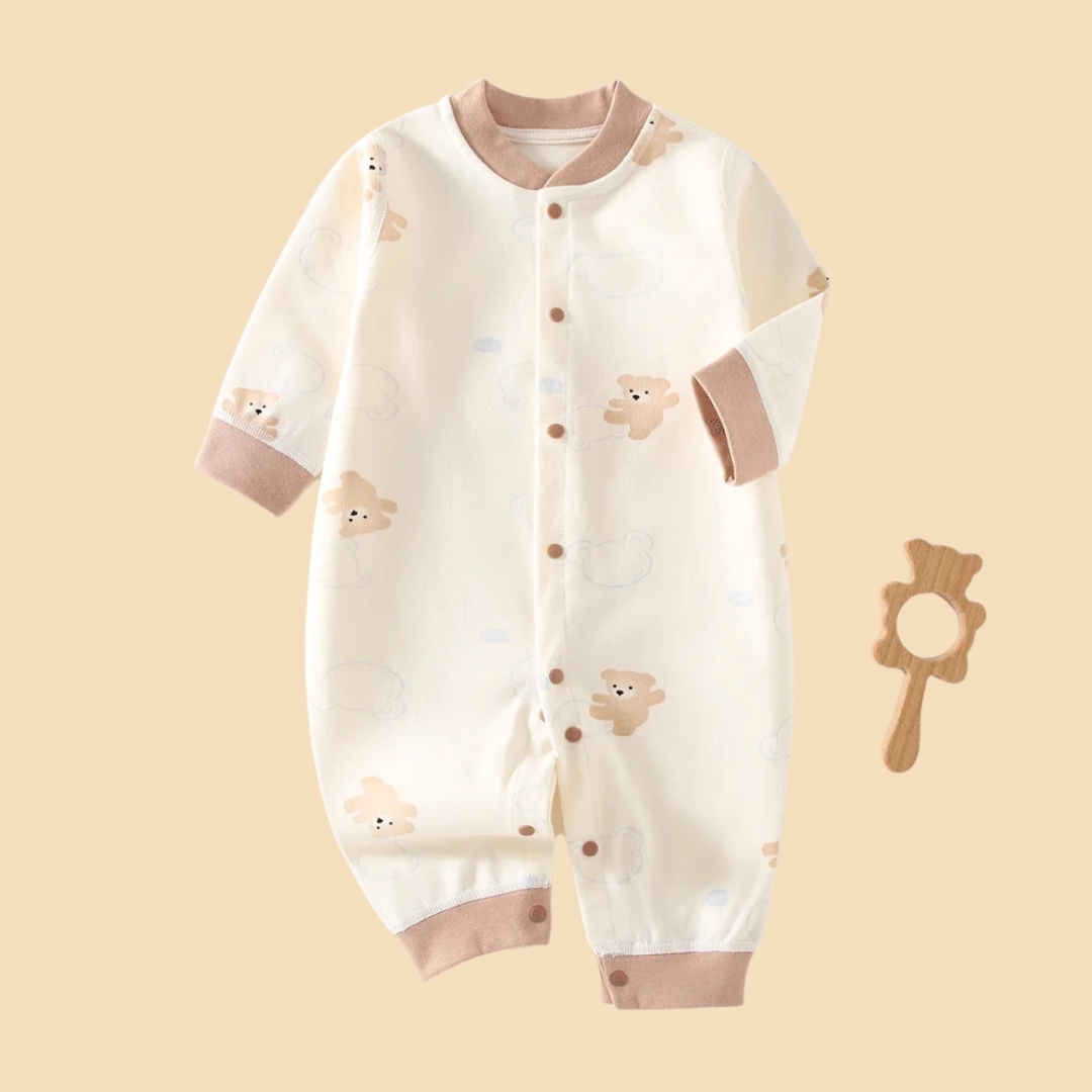 Teddy Dream