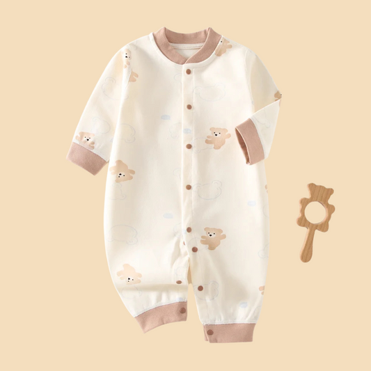 Teddy Dream
